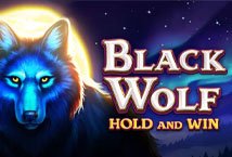 Black Wolf Slot Review